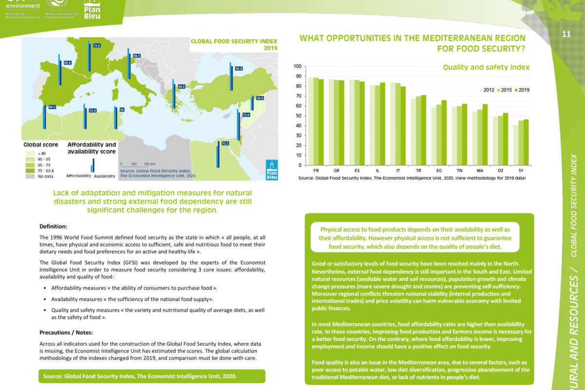 11_ Global Food Security Index_sheet