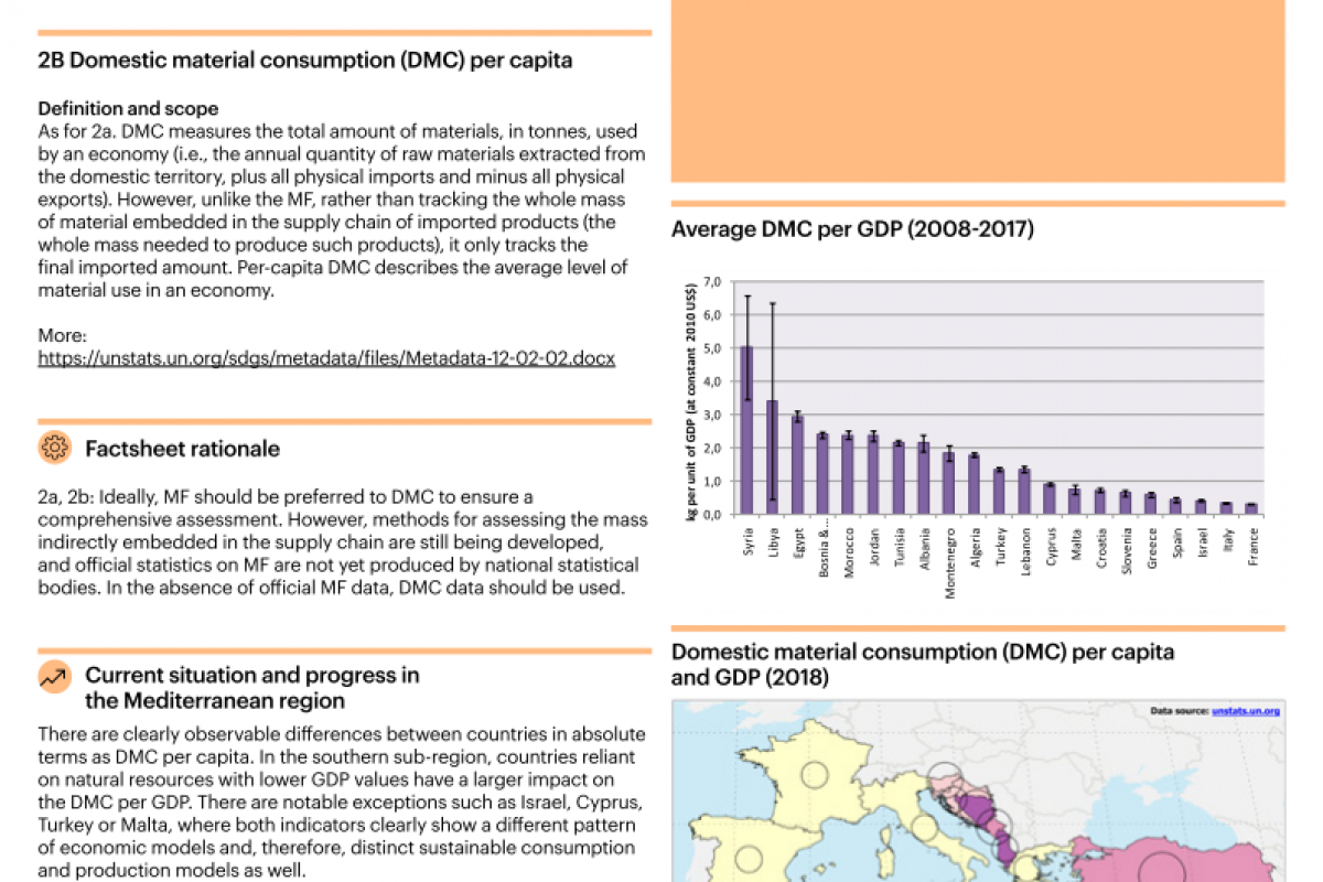 17_Domestic material consumption