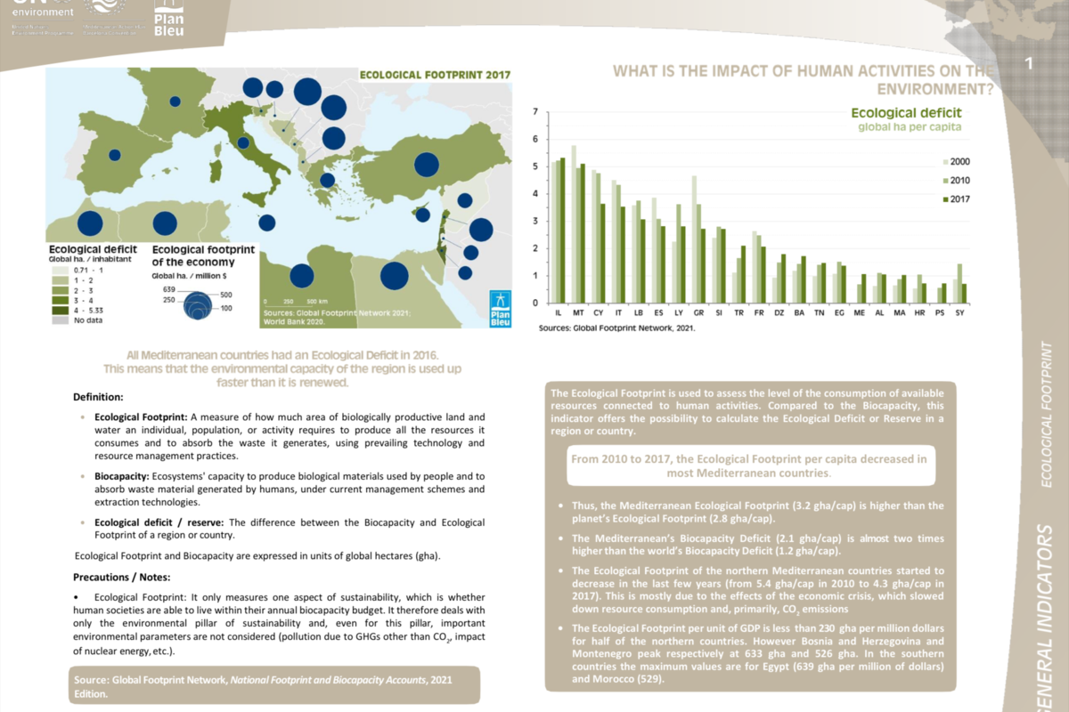Ecological footprint