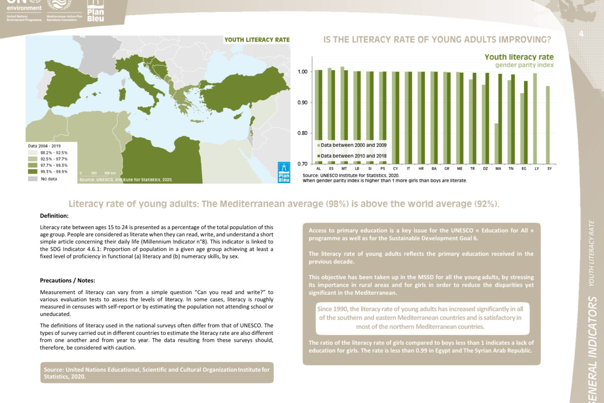 Youth literacy rate